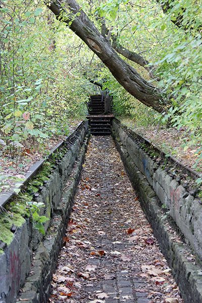 Sunken trail and stairs in Natur-Park Südgelände