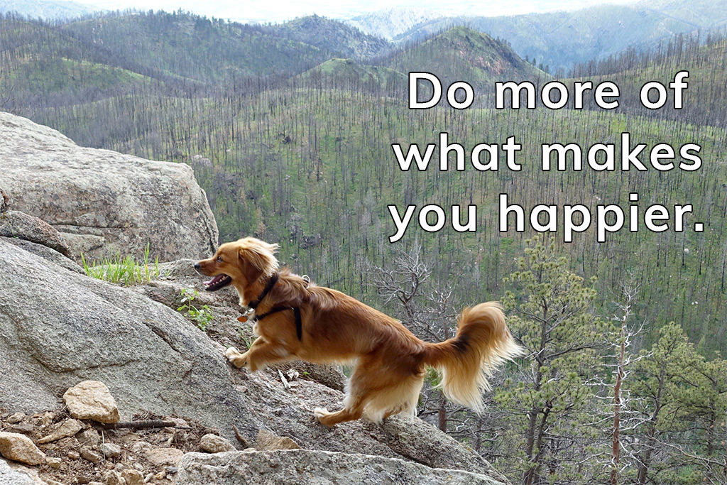 Do more of what makes you happier... with Whiskey Dog running up Grey Rock Mountain in Colorado - Happier Place.