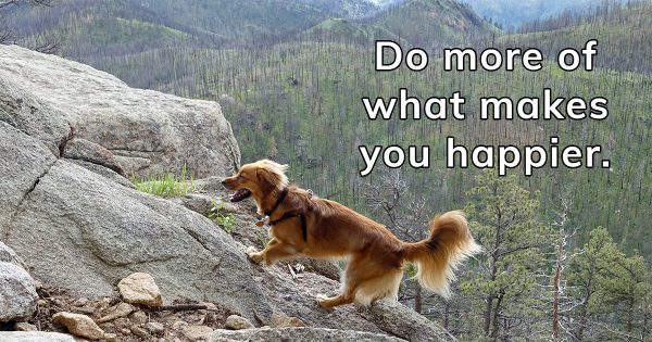 Do more of what makes you happier... with Whiskey Dog running up Grey Rock Mountain in Colorado - Happier Place.