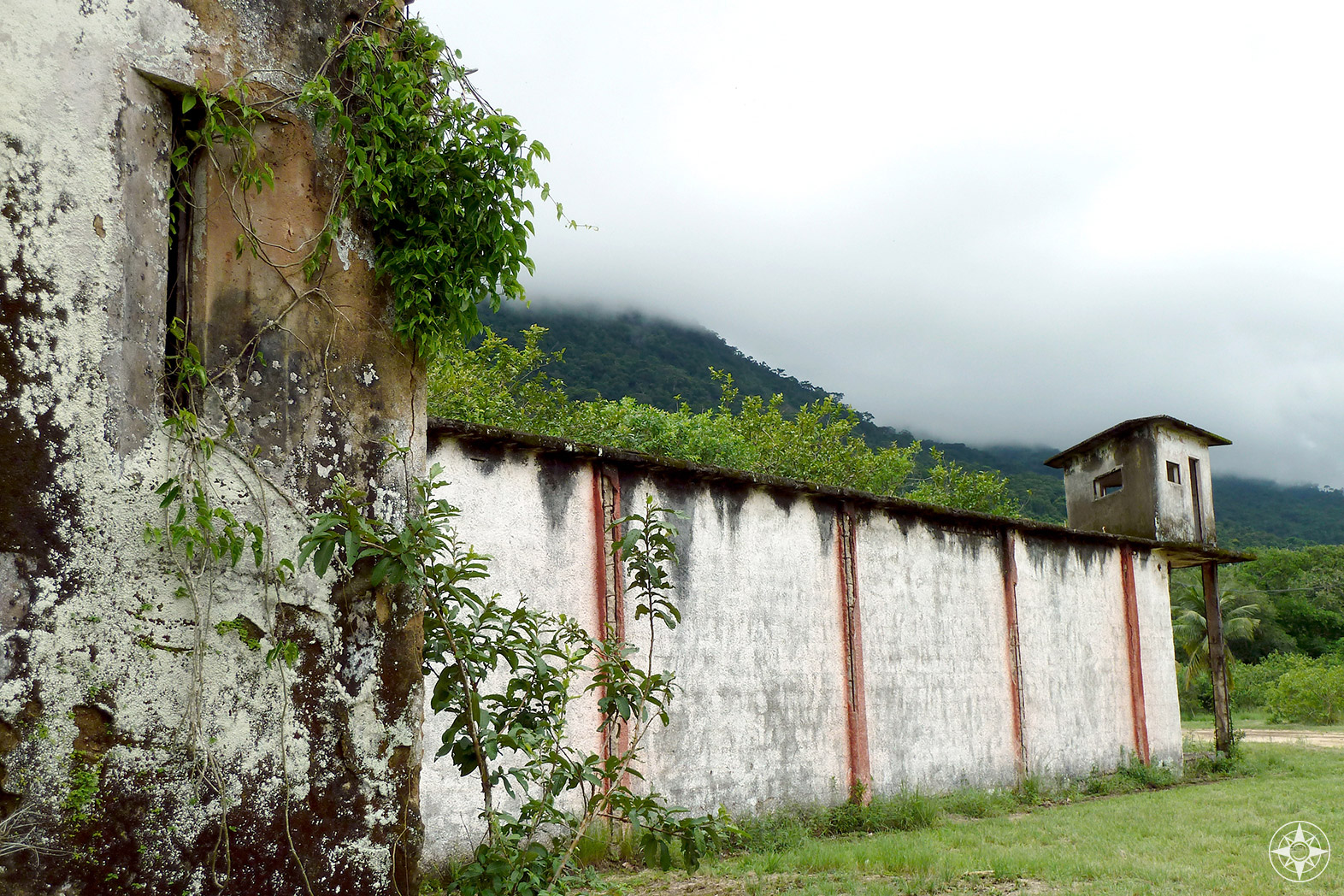 Nature take back over an abandoned prison building in Dois Rios on Ilha Grande.