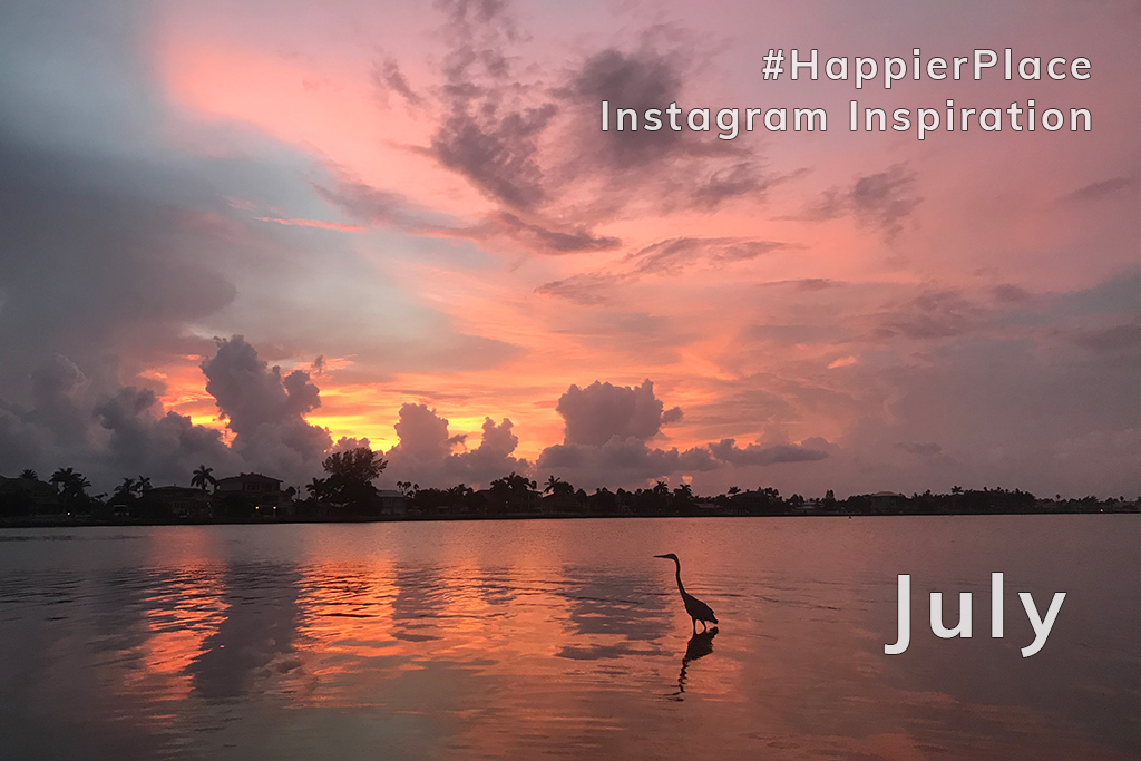Heron at sunset and other #HappierPlace Instagram Inspiration from July 2018