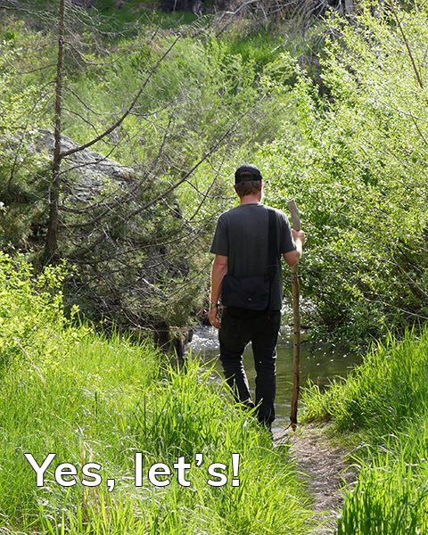 In this case "Yes, Let's!" led to exploring Hewlett Trail off Poudre Canyon in Colorado.