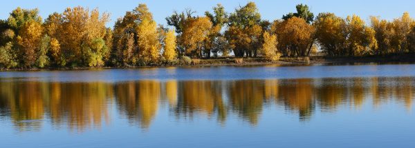 Autumn Pond Reflection - Happier Place