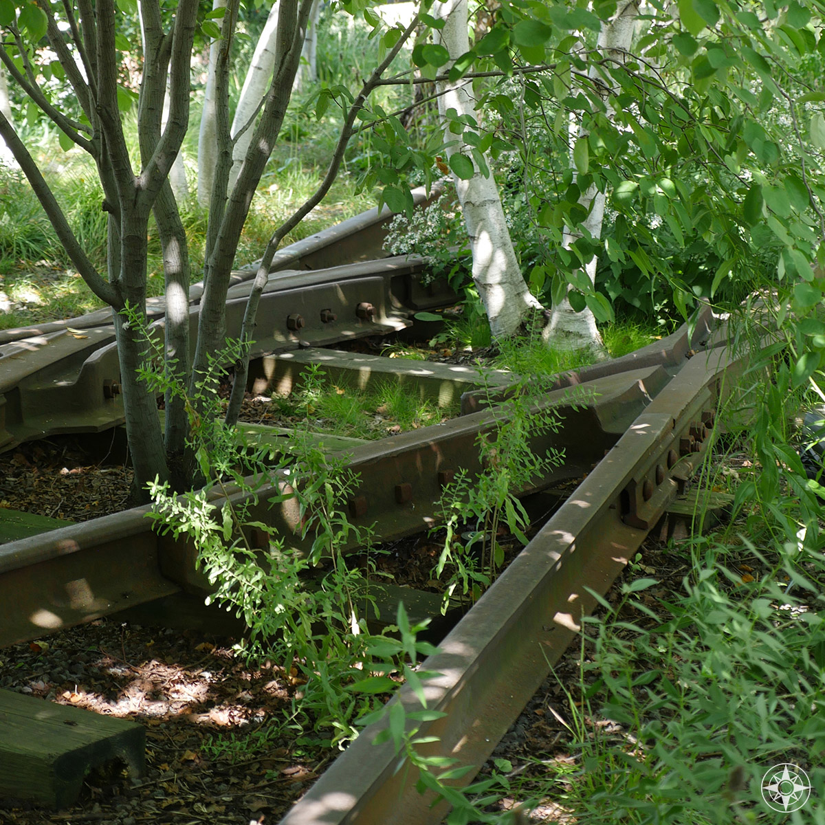 Overgrown tracks of the elevated freight rail line 30 feet above the streets of Manhattan.