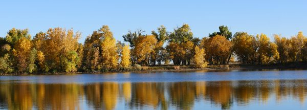 Arapaho Bend Ponds in autumn - Happier Place