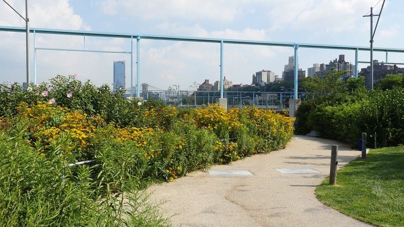 Walk among vibrant flowers and gaze back at the Brooklyn skyline from Pier 6.