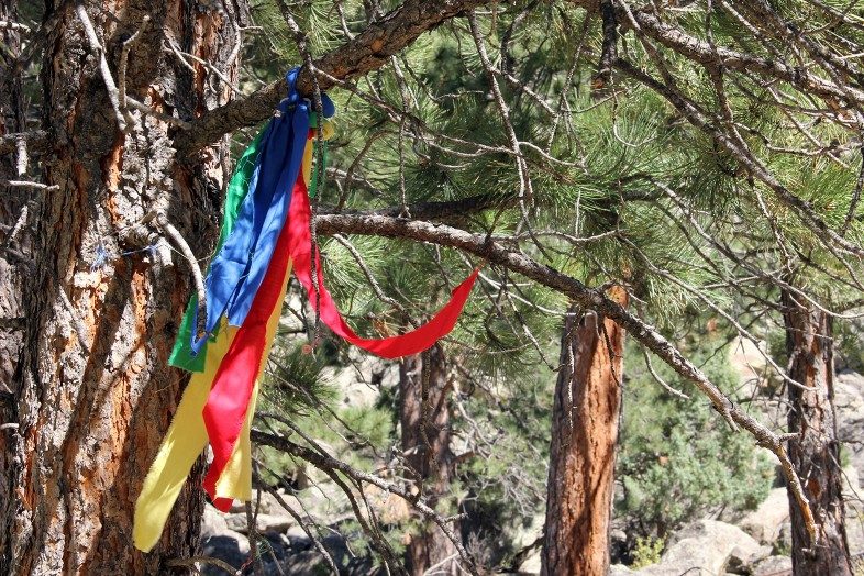 Colorful prayer cloths at Bear Lodge Butte (aka Devils Tower National Monument).