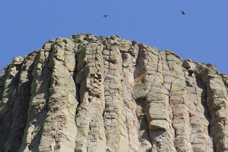 Birds of prey circling above the summit.