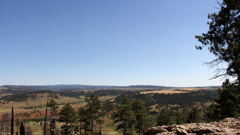 Looking south across Wyoming from the base of the Devils Tower rock formation.