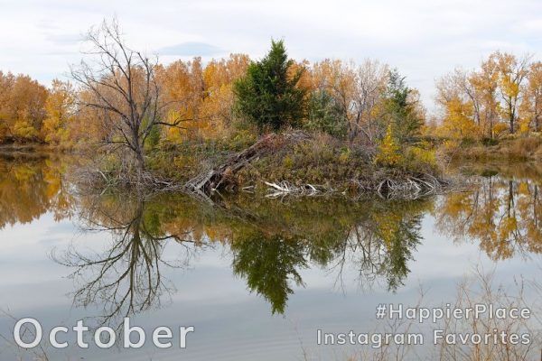 October #HappierPlace Instagram Favorites with island reflected in pond