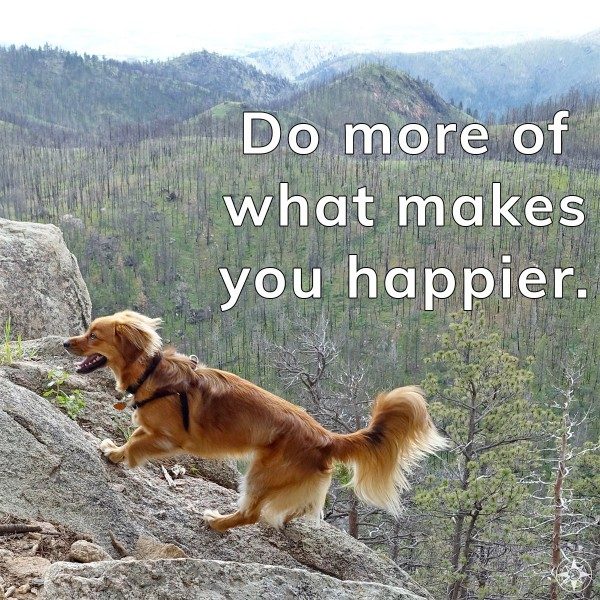 Do more of what makes you happier. Hiking dog