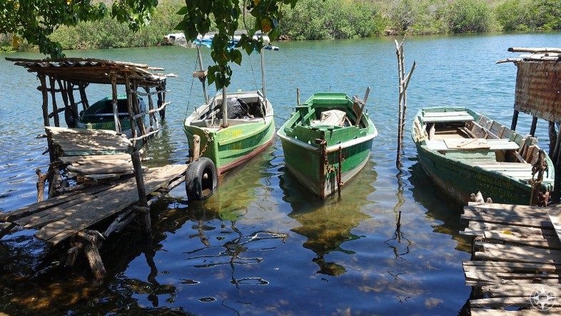 Small boats lined up along the Rio Guaurabo, Cuba.