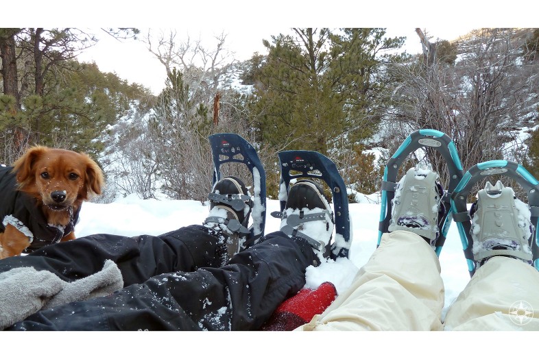 Snow picnic while snowshoeing with dog in Colorado - Happier Place