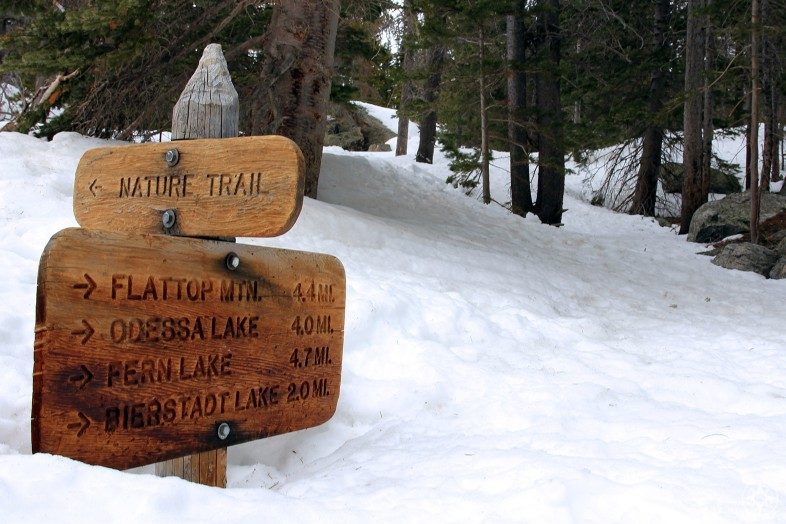 Rocky Mountain National Park trails are covered in so much snow, the trail signs barely poke out. Perfect for snowshoeing in Colorado!