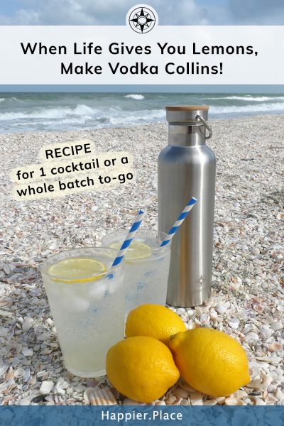 lemons vodka collins bottle on the beach recipe when life gives you lemons