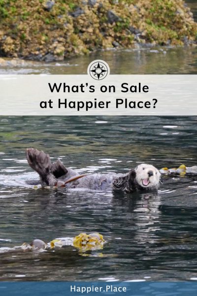sea otter waving - What's on sale at happier place 