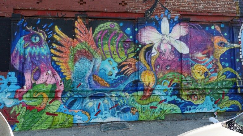 Rain Forest birds plants mural Eder Muniz Brooklyn street art