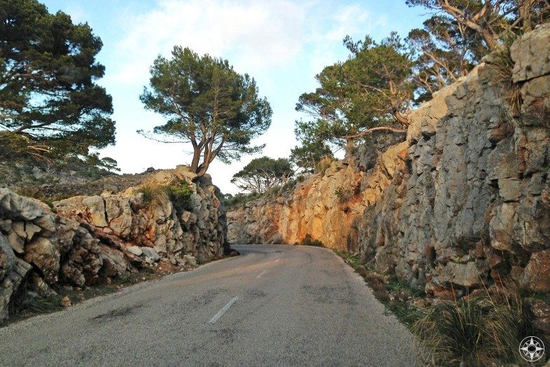 Road lined with rustic walls on Mallorca 