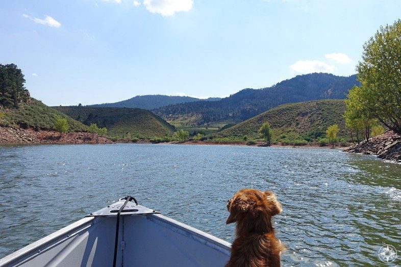 Whiskey Dog boating on Horsetooth Reservoir, Colorado.