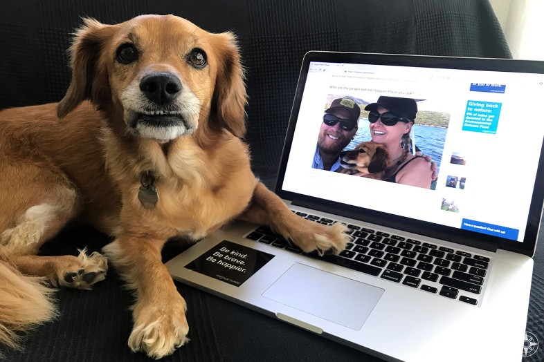 Whiskey Dog answering live chat on laptop for Happier Place website