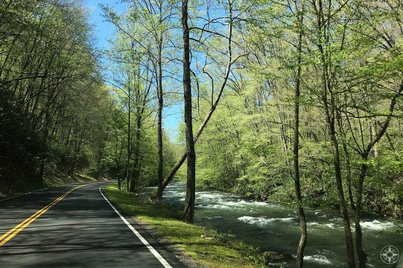 Spring in Smoky Mountains: Newfound Gap Road next to rushing stream