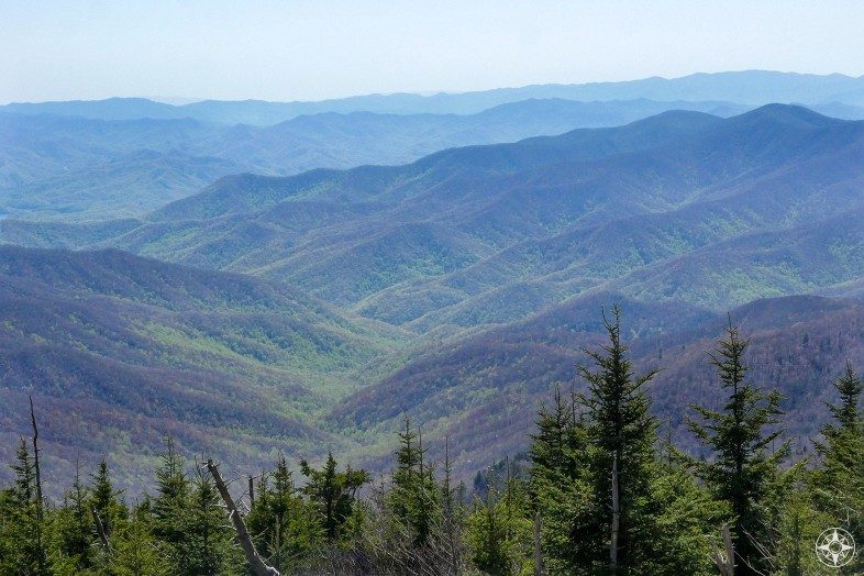 The view south from Clingmans Dome over the smoky peaks with their signature haze and spring green creeping up the hillsides. 