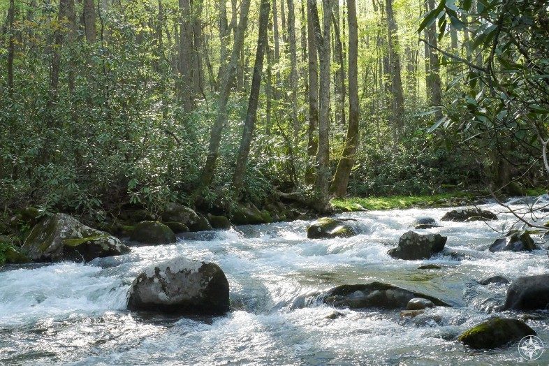 Streams full of trout and bass lure fly fishermen to the Smoky Mountains.