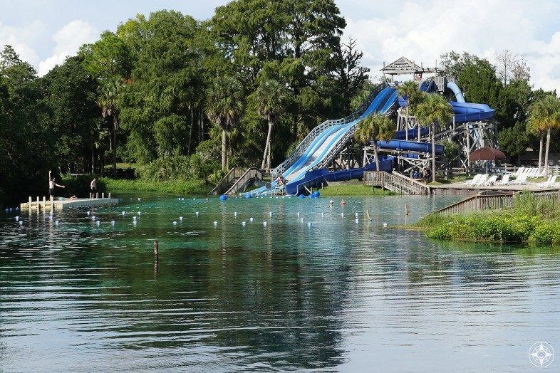 Slide right into the natural pool at Weeki Wachee Springs State Park