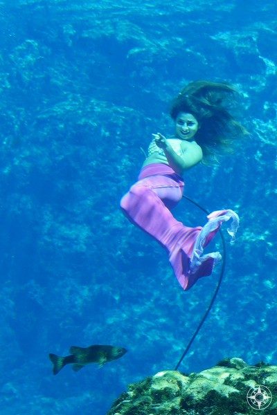 Live mermaids and real fish mingle in this unique Florida attraction