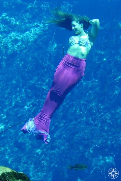 There are mermaids in the Weeki Wachee State Park, but not in the Weeki Wachee River.