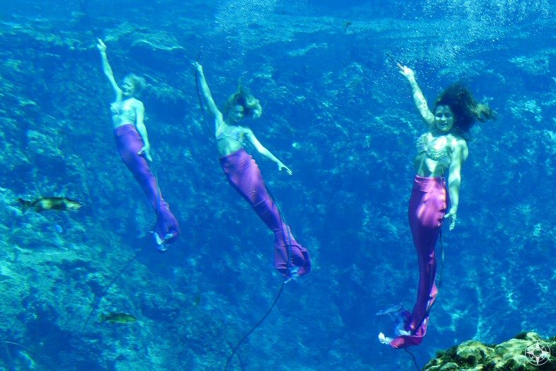 The live mermaid show at Weeki Wachee takes place inside one of America's deepest springs
