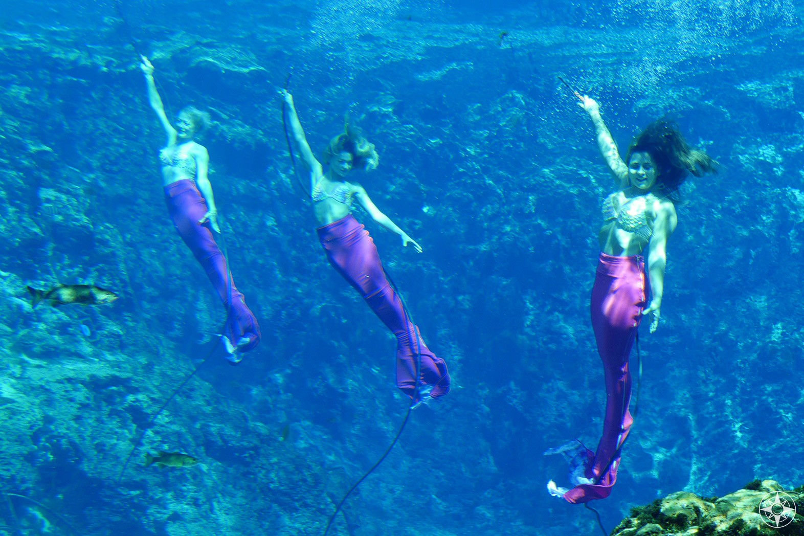 Meet Mermaids And Paddle A Crystal Clear River Weeki Wachee Springs And River Florida 