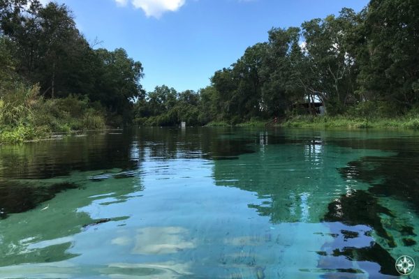 Florida hardly gets more refreshing than this: A swimmer's perspective of the crystal clear water and lush natural surroundings in Weeki Wachee Springs State Park.