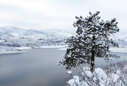 Snow-covered tree over snowy lake, Colorado, postcard