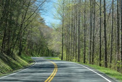 Road, North Carolina, Smoky Mountains National Park, spring, postcard