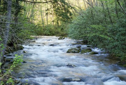 Rushing waters in Smoky Mountains National Park, North Carolina, Oconaluftee river postcards