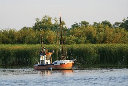 Classic fishing boat on the Elbe River, Germany, postcard