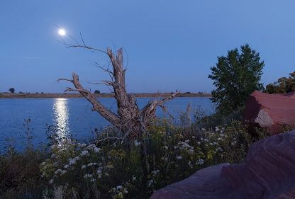 Full moon over lake with wildflowers, Colorado, Douglas, super moon, postcard
