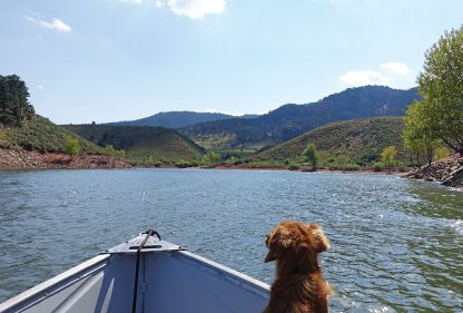 dog, boat, lake, hills, postcard, multiple choice, Whiskey Dog, Horsetooth Reservoir, Colorado