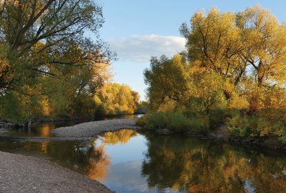 Fall colors, Golden Hour, Riverbend, Poudre River, Fort Collins, Colorado, postcard