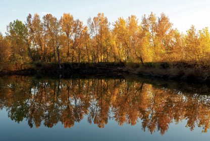 Bright fall foliage trees reflected in mirror pond, Colorado, Happier Place