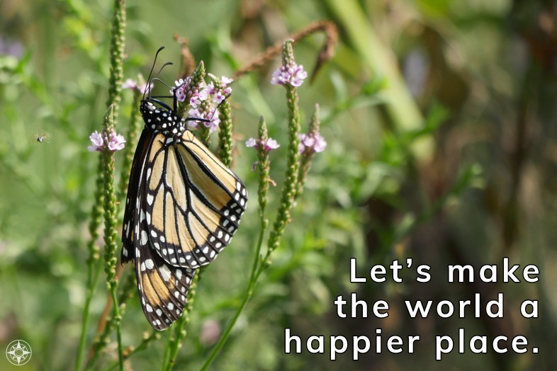 Let's make the world a happier place, monarch butterfly on wildflower in new york city.