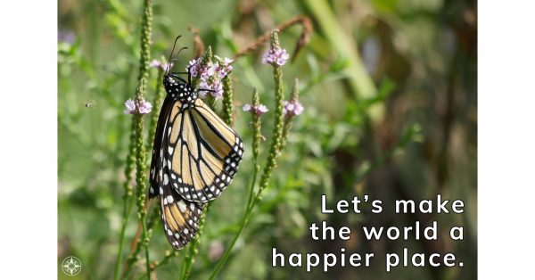 Let's make the world a happier place, monarch butterfly, new york
