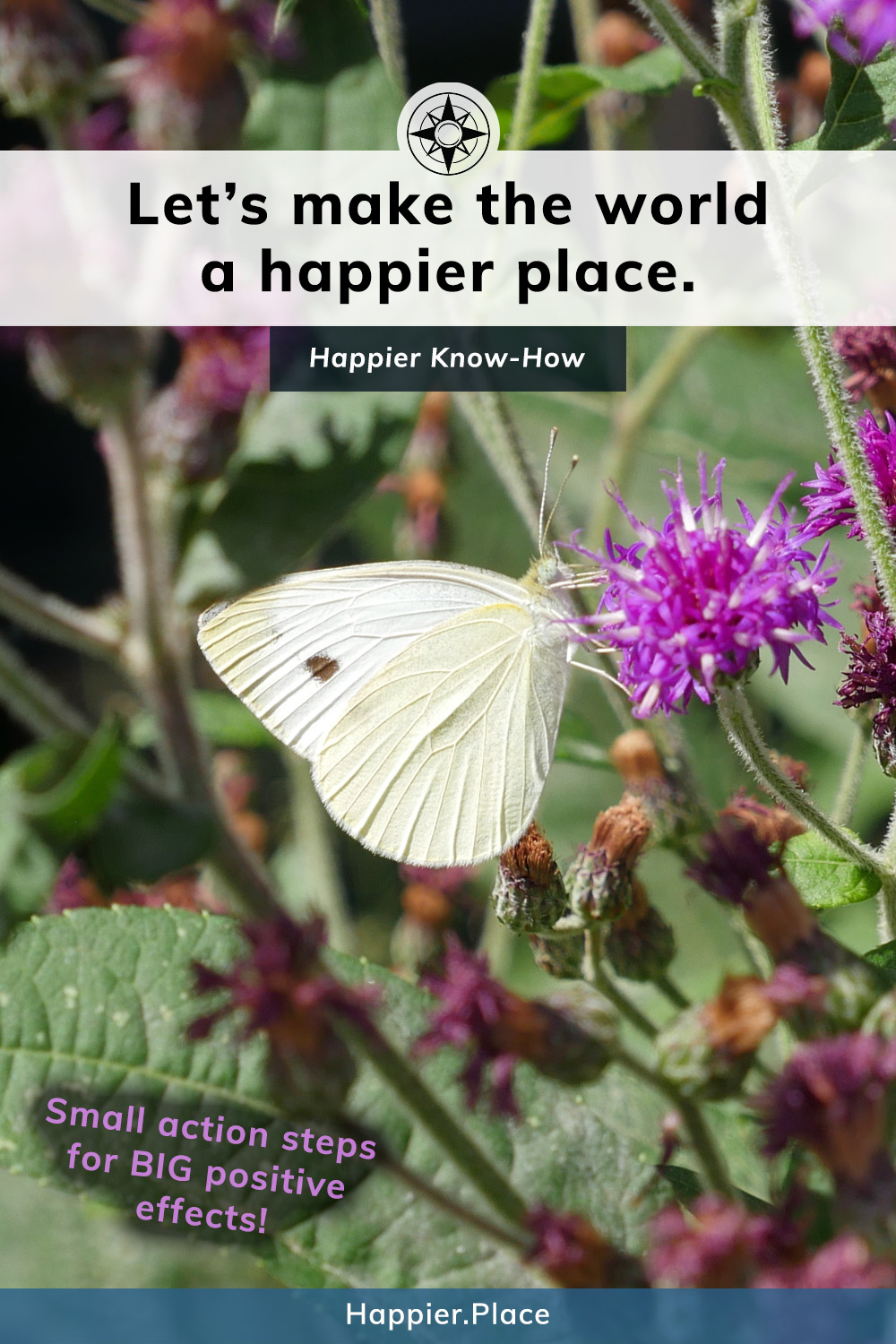 Let's make the world a happier place with action steps, butterfly, happier know-how