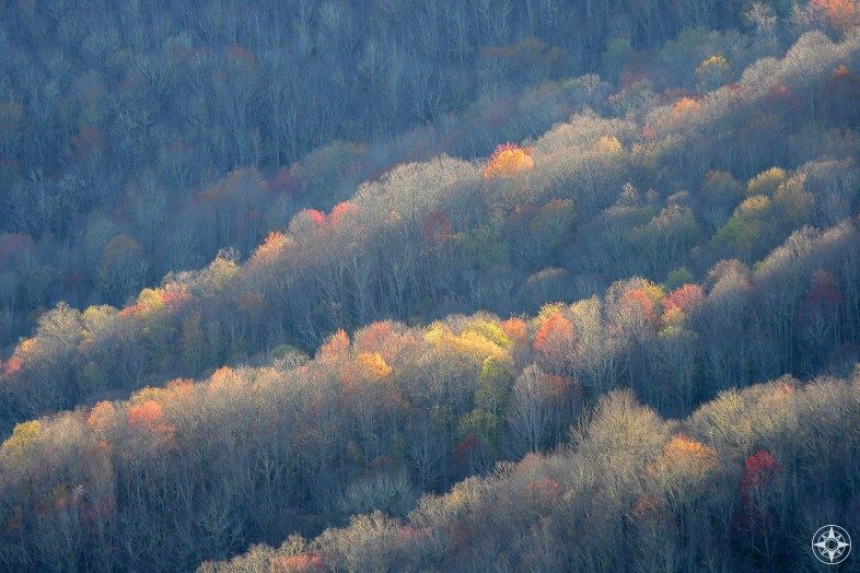 Colorful foliage along mountains of Blue Ridge Parkway