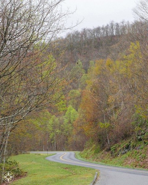 Colorful foliage, trees, curvy mountain road, grey sky, Blue Ridge Parkway