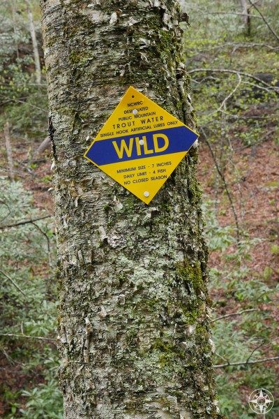 Wild trout water, Bent Creek, Lake Powhatan, North Carolina, public mountain, Blue Ridge Parkway, sign