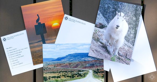 Happier Place cards, mutiple-choice, postcards, greeting cards, nature photography, mountain goat, highway, pelican, sunset, yes lets
