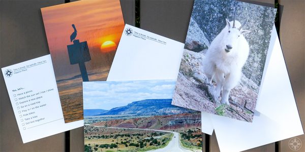 Happier Place cards, mutiple-choice, postcards, greeting cards, nature photography, mountain goat, highway, pelican, sunset, yes lets