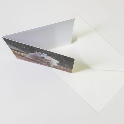 Folding Greeting Card, envelope, Happier Place, top view
